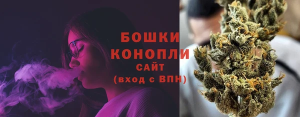 гашик Лагань