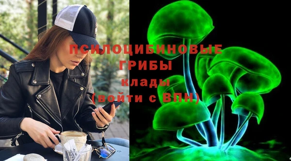 бошки Ельня