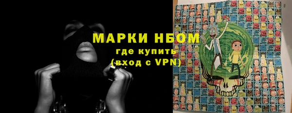 бошки Ельня
